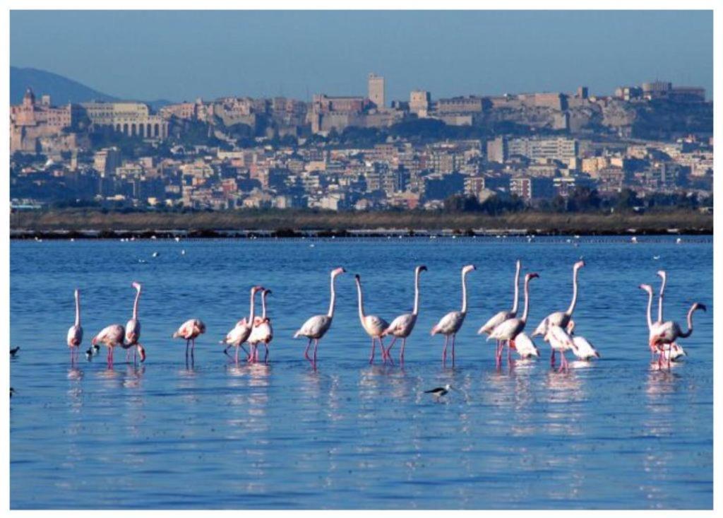 Casa Andrea A 1,5 Km Dal Mare! Apartment Quartu Sant'Elena Bagian luar foto
